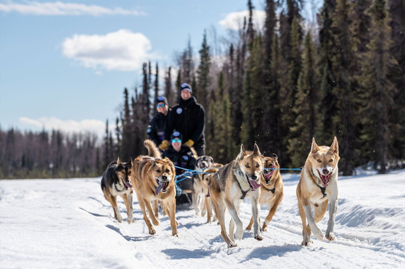 Alaska Bonding Family Connection